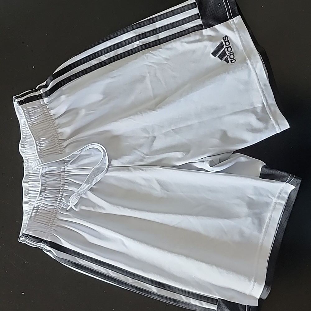Adidas Men's Tastigo shorts.  Size small.